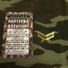 Знак различия Младший Сержант металлический с уголками