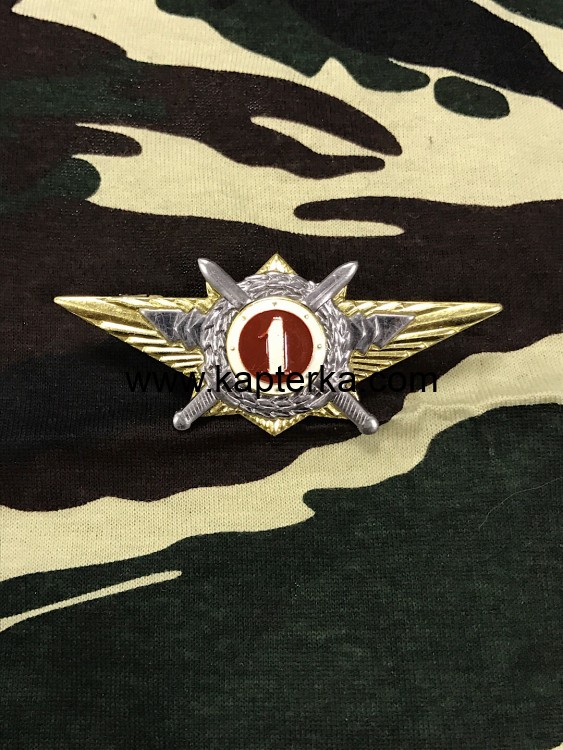 Знак КЛАССНОСТЬ РОСГВАРДИИ Офицерская 1 класс