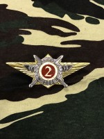 Знак КЛАССНОСТЬ РОСГВАРДИИ Офицерская 2 класс