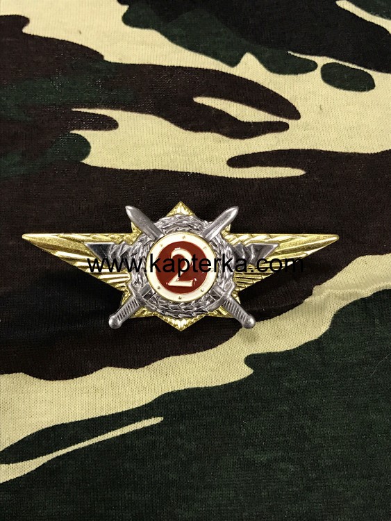 Знак КЛАССНОСТЬ РОСГВАРДИИ Офицерская 2 класс