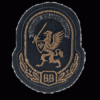 Шеврон Главное командование ВВ.
