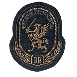 Шеврон Главное командование ВВ.