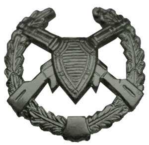 Эмблема Пограничные войска металлическая защитная, старого образца. 