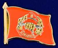 Знак Флаг Спецназ, на пимсе.
