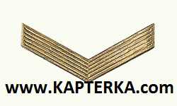 Ефрейтор, галка, метал, цвет золотой.