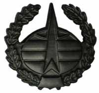 Эмблема Военно-Космические силы металлическая защитная, старого образца. 