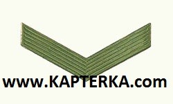 Ефрейтор, галка, метал, цвет защитный.