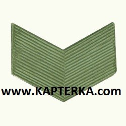 Старший сержант, галка, метал, цвет защитный. 