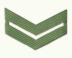 Знак различия Младший Сержант, металлический защитный.  