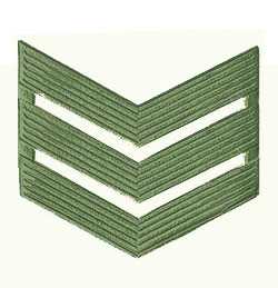 Знак различия Сержант, металлический защитный.   