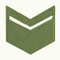 Знак различия Старшина, металлический защитный.