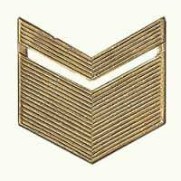 Знак различия Старшина, металлический золотой. 