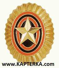 Кокарда (Овал, Орешек) без листьев ВС металлическая золотая