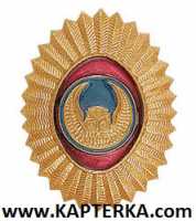 Кокарда (Овал, Орешек) без листьев ВОХР с СОВОЙ металлическая золотая.