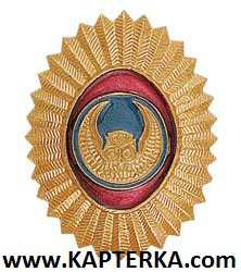 Кокарда (Овал, Орешек) без листьев ВОХР с СОВОЙ металлическая золотая.