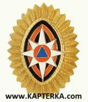 Кокарда (Овал, Орешек) без листьев МЧС металлическая золотая, георгиевская эмаль.