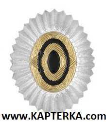 Кокарда (Овал, Орешек) без листьев КАЗАЧЬЯ металлическая серебро, насечки.Офицерская