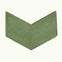 Знак различия Старший Сержант, пластиковый защитный.  