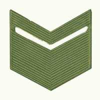 Знак различия Старшина, пластиковый защитный.