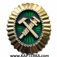 Кокарда (Овал, Орешек) без листьев РЖД металлическая золотая.