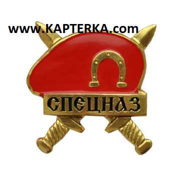 Знак Берет СПЕЦНАЗ, краповый.
