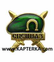 Знак Берет СПЕЦНАЗ, зелёный.