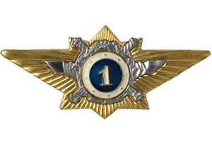 Классность МВД "1" класс