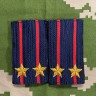 Фальш-погоны Полиции вышитые гладью по приказу 777 (новый образец)